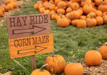 Fall festivals in the Midwest