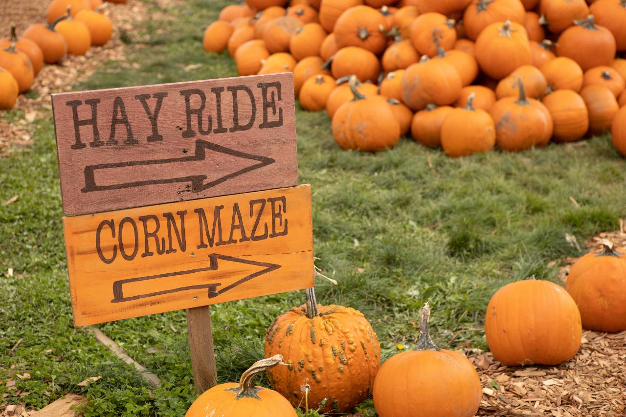 Fall festivals in the Midwest